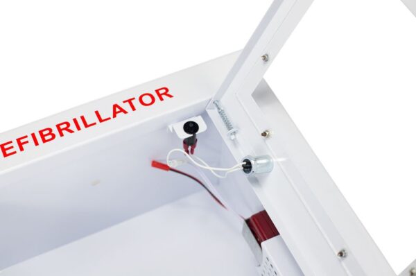 SaveStation Indoor Semi-Recessed Alarmed Cabinet - Image 4